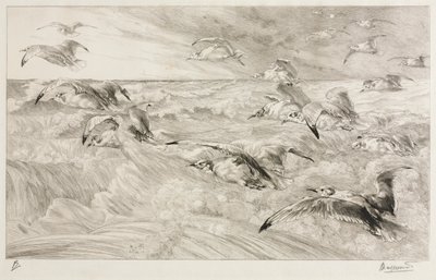 Rackové, c. 1880. od Felix Bracquemond
