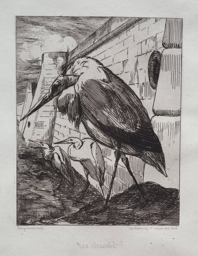 Čápi, 1865. od Felix Bracquemond