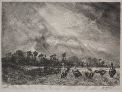 Bouřkový mrak od Felix Bracquemond