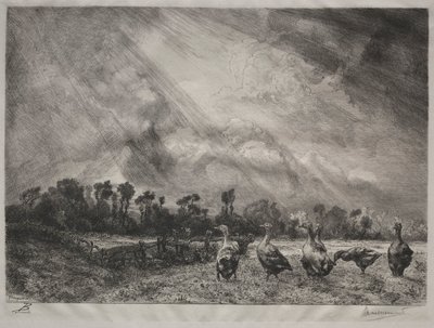 Bouřkový mrak, 1878-1887. od Felix Bracquemond