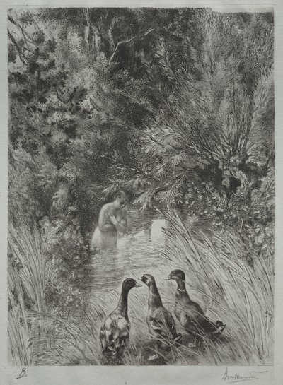 Překvapené kachny od Felix Bracquemond
