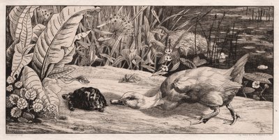 Neznámý, 1862. od Felix Bracquemond