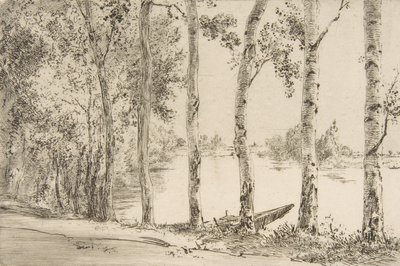 Aspens u Seiny, ca. 1884. od Felix Bracquemond