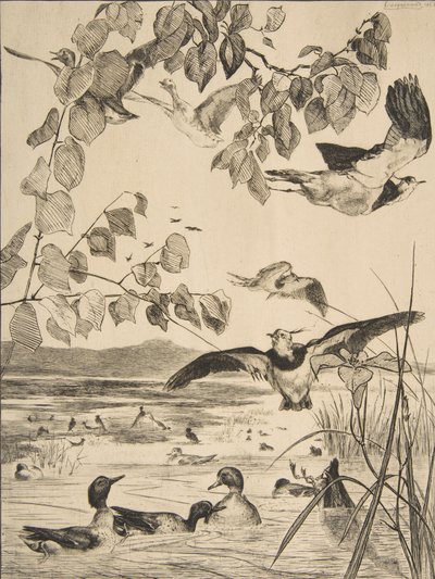 Čejky a Sarcelles, 1862. od Felix Bracquemond