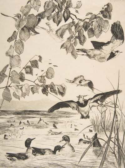 Čejky a Sarcelles, 1862. od Felix Bracquemond