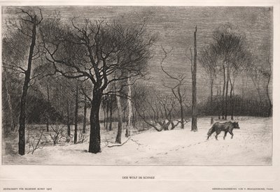 Zima, 1862. od Felix Bracquemond
