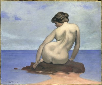 Lapač sedící na skále, 1910. od Felix Edouard Vallotton