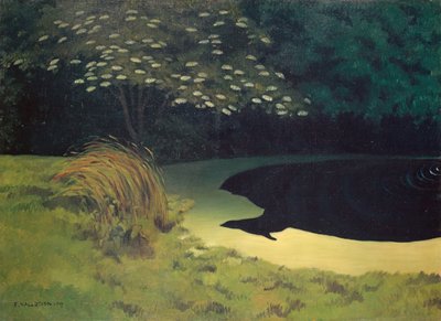 Rybník od Felix Edouard Vallotton