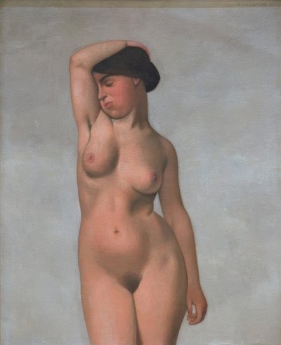 Ženský akt se zdviženou paží od Felix Edouard Vallotton