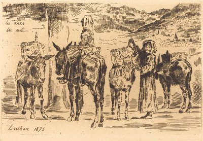 Listy oslů z jihu, 1873. od Felix Hilaire Buhot