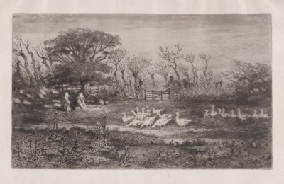 Husy, 1860-98. od Felix Hilaire Buhot