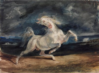 Kůň vyděšený bleskem od Ferdinand Victor Eugene Delacroix