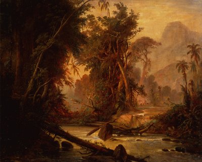 Tropický prales ve Venezuele (olej na plátně) od Ferdinand Bellermann
