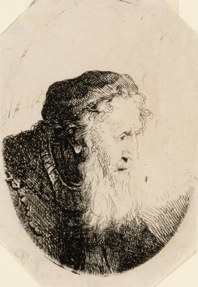 Starý muž s vlajícím plnovousem od Ferdinand Bol