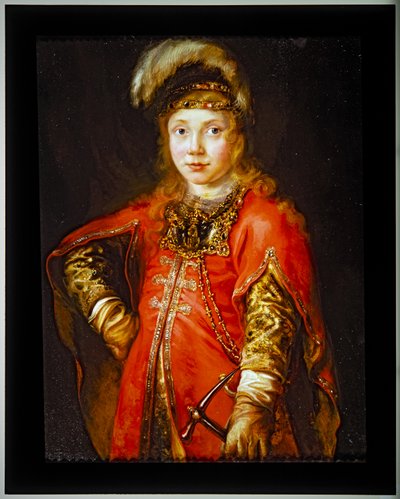 Portrét mladíka v červené tunice od Ferdinand Bol