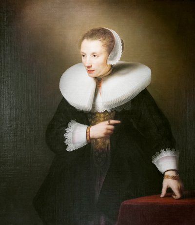 Tuntemattoman naisen muotokuva od Ferdinand Bol