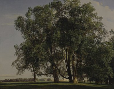 Krajina v Prateru od Ferdinand Georg Waldmüller