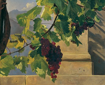 Visící hrozny od Ferdinand Georg Waldmüller