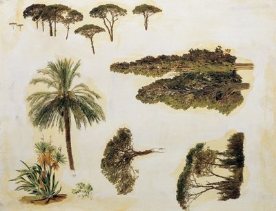 Stromové studie z Říma od Ferdinand Georg Waldmuller