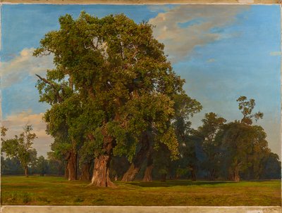 Krajina velkého Prátru od Ferdinand Georg Waldmuller