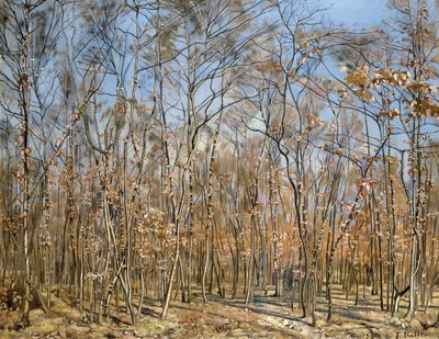 Bukový les, 1885-1894 . od Ferdinand Hodler