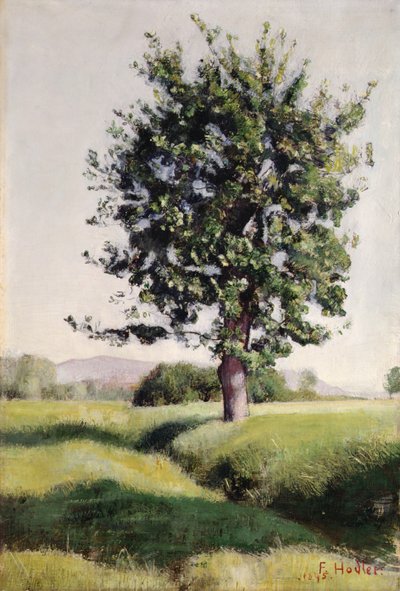 Strom od Ferdinand Hodler
