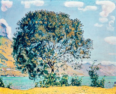 Neznámý obrázek od Ferdinand Hodler