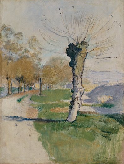 Willow Tree at Junction, nebo Willow Tree in Spring, kolem roku 1885 (olej na plátně) od Ferdinand Hodler