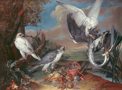 Grónští Cyr Falcons od Ferdinand Phillip de Hamilton