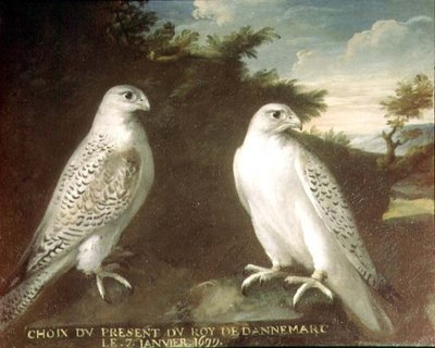 Pár Gyrfalconů v krajině od Ferdinand Phillip de Hamilton