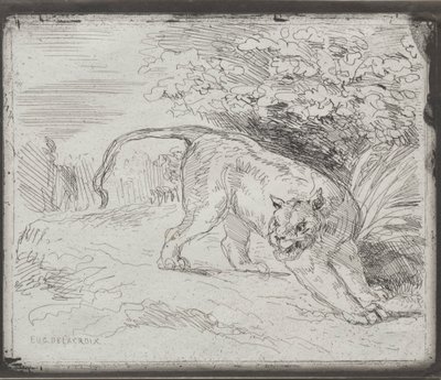Tygr v pasti, 1854. od Ferdinand Victor Eugene Delacroix
