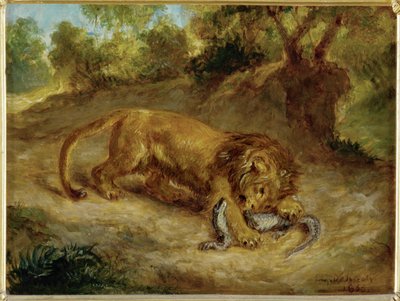 Lev a Kajmanské ostrovy ... od Ferdinand Victor Eugene Delacroix