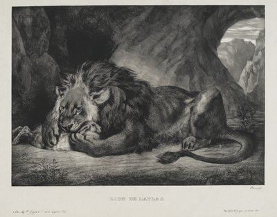 Lev de l