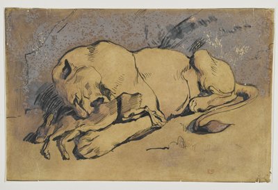 Lvice požírající králíka (pero a inkoust s načervenalým praním na hnědém papíře) od Ferdinand Victor Eugene Delacroix