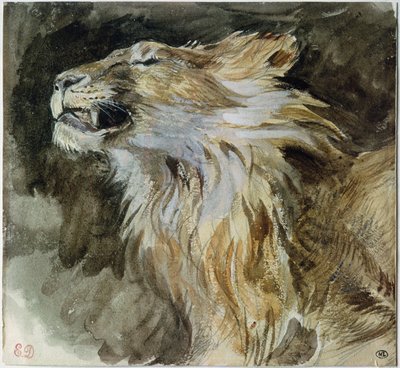 Hlava lva (akvarel na papíře) od Ferdinand Victor Eugene Delacroix