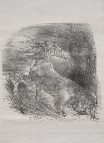 Divoký kůň aneb Splašený kůň opouštějící vodu, 1828. od Ferdinand Victor Eugene Delacroix