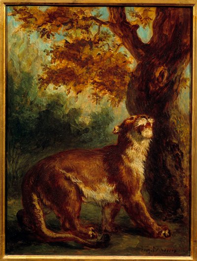 Puma také říká, že lvice hledá kořist. Obraz Eugene Delacroix (1798-1863) od Ferdinand Victor Eugene Delacroix