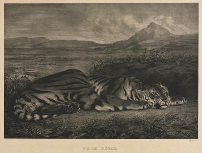 Královský tygr, 1829. od Ferdinand Victor Eugene Delacroix