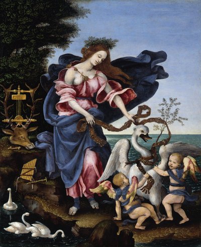  od Filippino Lippi