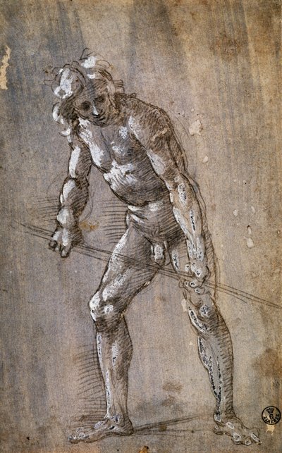 Mužská postava od Filippino Lippi