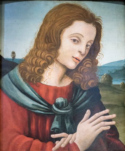 Svatý Jan Evangelista, následovník Filippina Lippiho (olej na dřevě) od Filippino Lippi