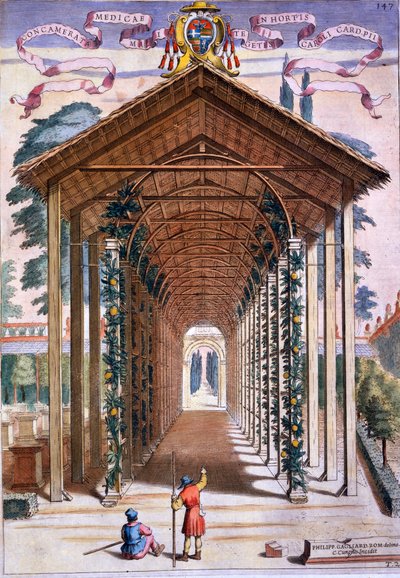 Trellised Covered Walkway, z 