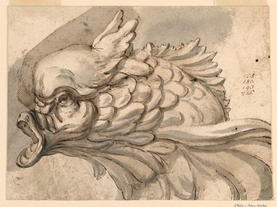 Kresba, Hlava delfína, asi 1775 od Filippo Marchionni