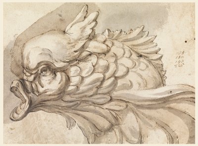 Kresba, hlava delfína, ca. 1775 od Filippo Marchionni