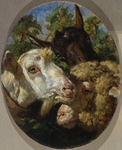 Hlavy zvířat od Filippo Palizzi