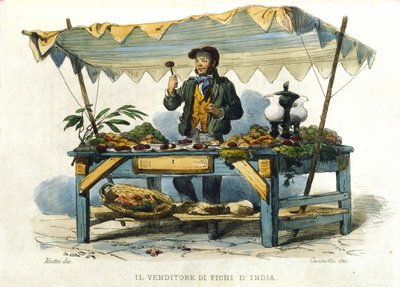 Malý metier města Neapol: prodejce pichlavých kolíků. Rytina podle obrazu F. Palizzy. Z díla Francesca de Bourcard „“ Costumi del regno di Napoli““ od Filippo Palizzi