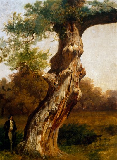 Strom (olej na plátně) od Filippo Palizzi