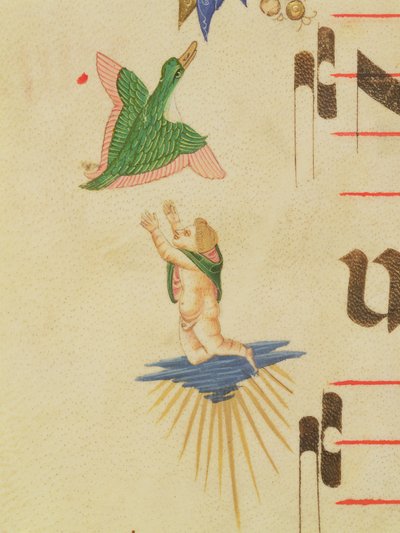 Misál 515 f.13v Zahalený cherub, který se snaží chytit létajícího ptáka, z ozdobného okraje, detail ze sborové knihy provedené před rokem 1449 detail pergamenu 56721 od Filippo di Matteo Torelli