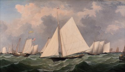 New York Yacht Club Regatta, 1856 od Fitz Henry Lane