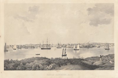 Pohled na Gloucester, Mass. od Fitz Henry Lane